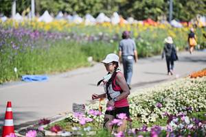 BIB: 
                            <button type="button" onclick="openModal(27793787)" class="btn btn-primary btn-sm float-right btn-popup" data-toggle="modal" data-target=".modal-high-quality">
                        <i class="fas fa-shopping-cart"></i> Add to Cart
                    </button>
                                            <button type="button" onclick="isThisMe(27793787, true)" class="btn btn-success btn-sm float-right btn-popup btn-isme hidden" data-toggle="tooltip" data-placement="bottom" title="นี่คือรูปของคุณใช่ไหม คลิกที่นี่เพื่อเอาเข้าอัลบั้ม">
                        <i class="fas fa-plus"></i> Add to album
                    </button>
                    <button type="button" onclick="isThisMe(27793787, false)" class="btn btn-warning btn-sm float-right btn-popup btn-isnotme hidden">
                        <i class="fas fa-ban"></i> Remove from album
                    </button>